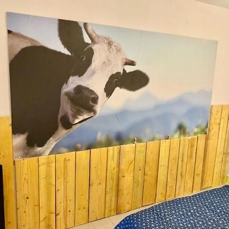 Le Depot Studio Du Petit Port Champvert Zewnętrze zdjęcie